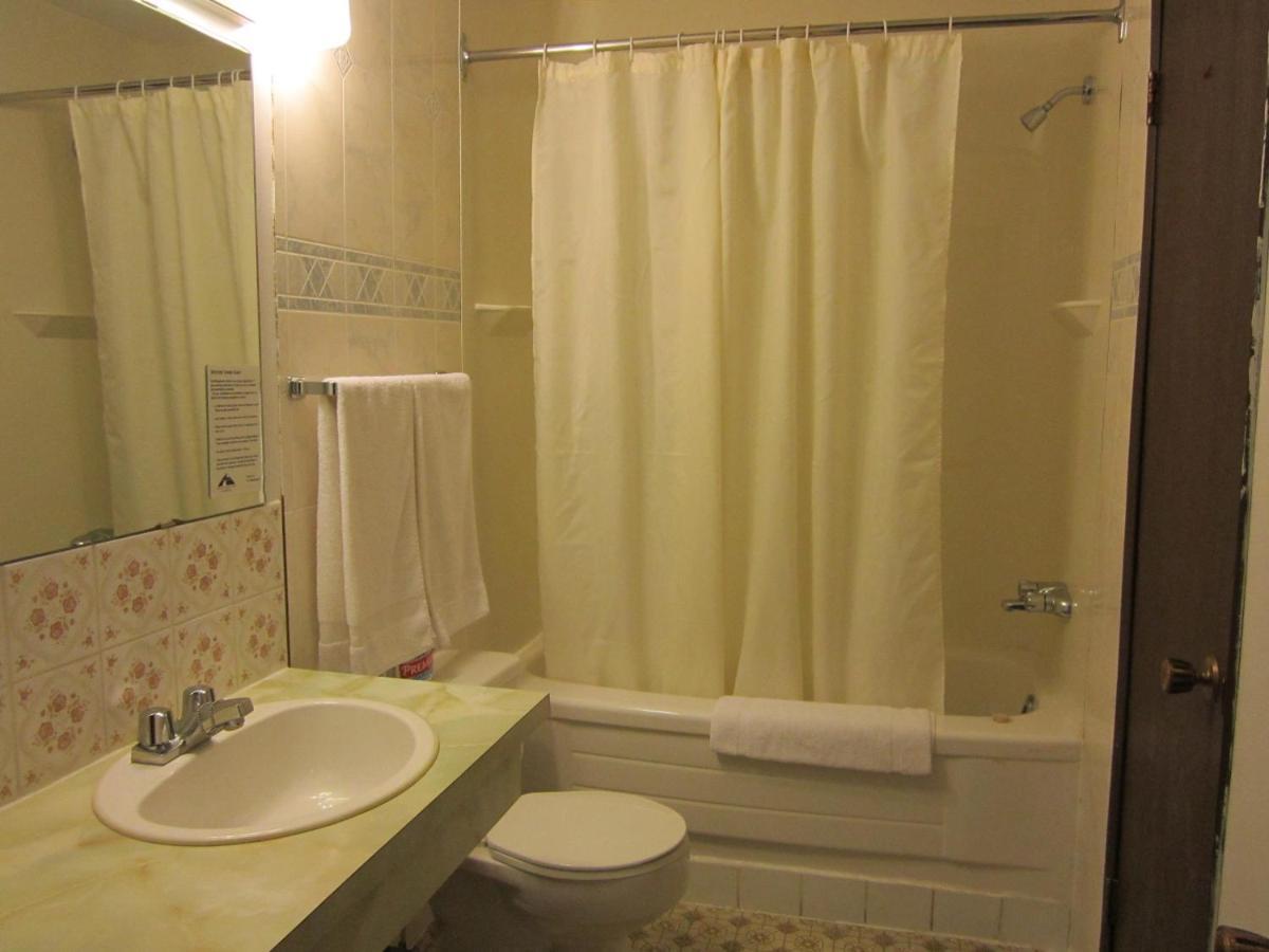 Viking Lamplighter Motel Chambre photo